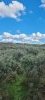 20220904_132516